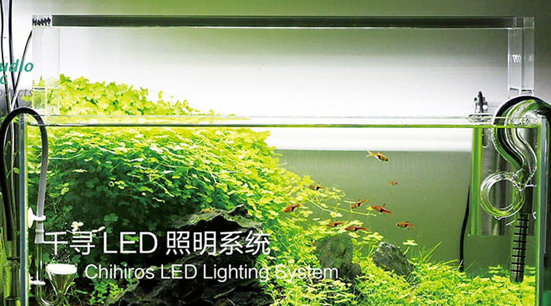 Chihiros A Series LED Lighting System - Chihiros Aquatic Studio