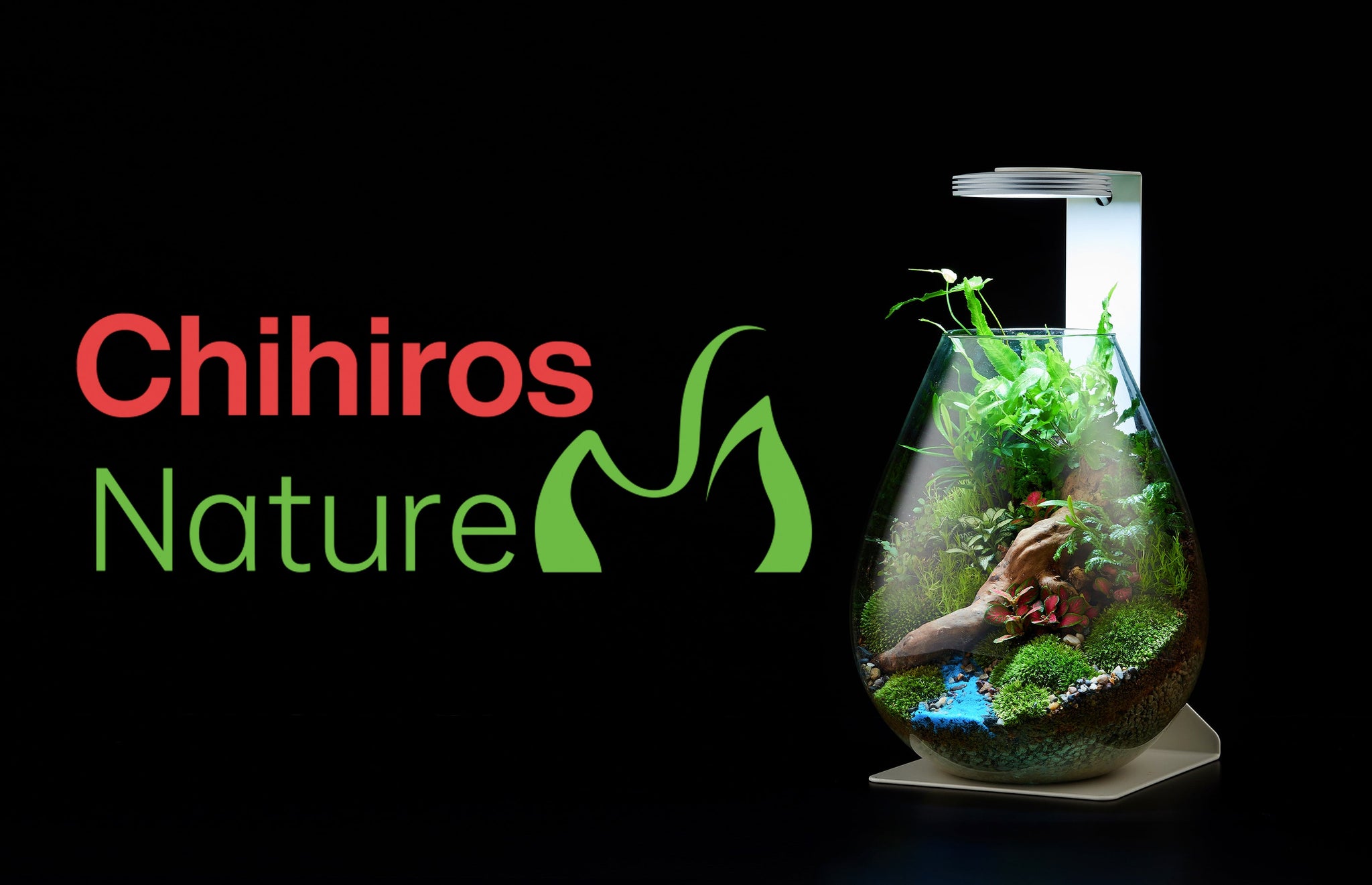 chihiros nature chihiros aquatic studio