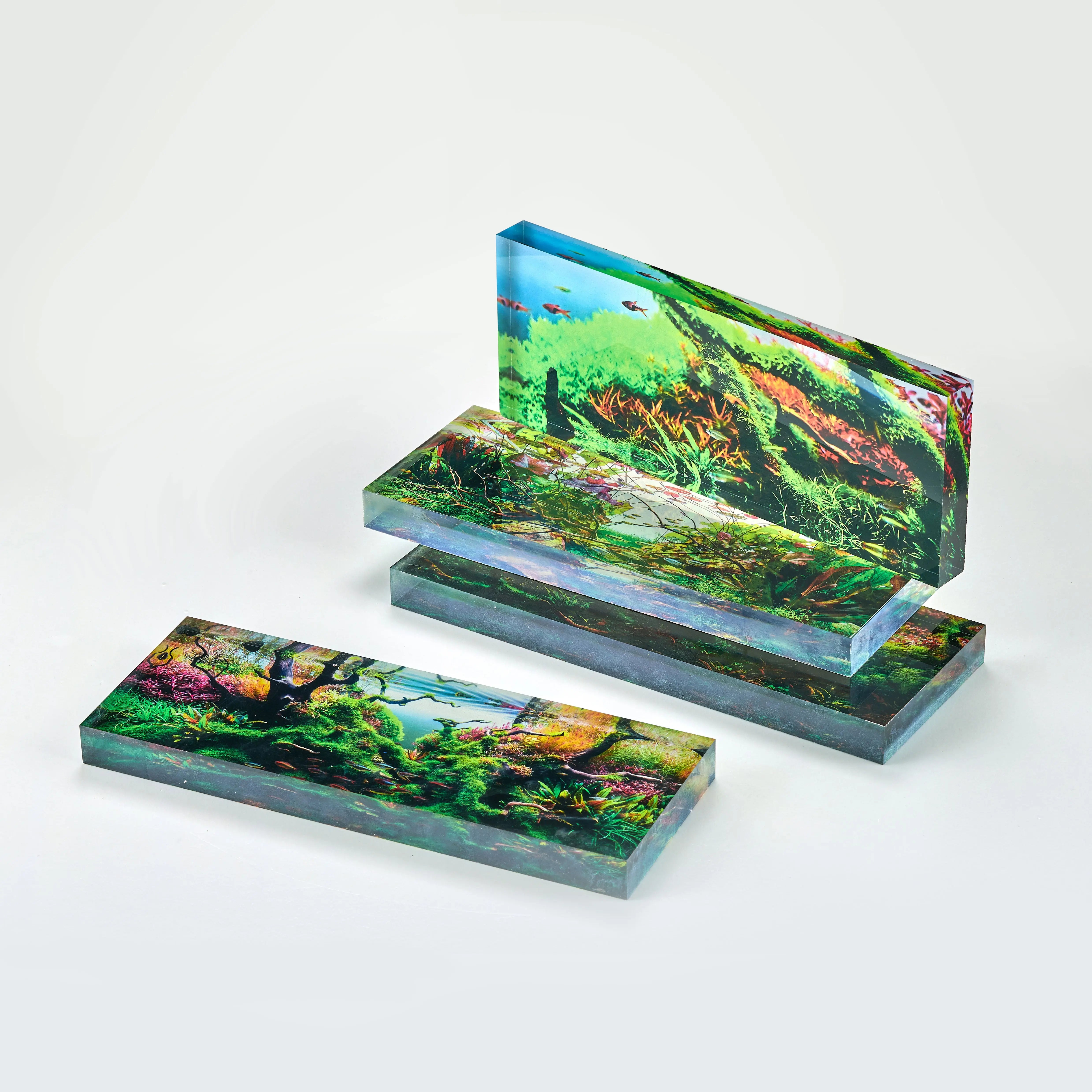 Chihiros 10th Anniversary - Chihiros Aquatic Studio