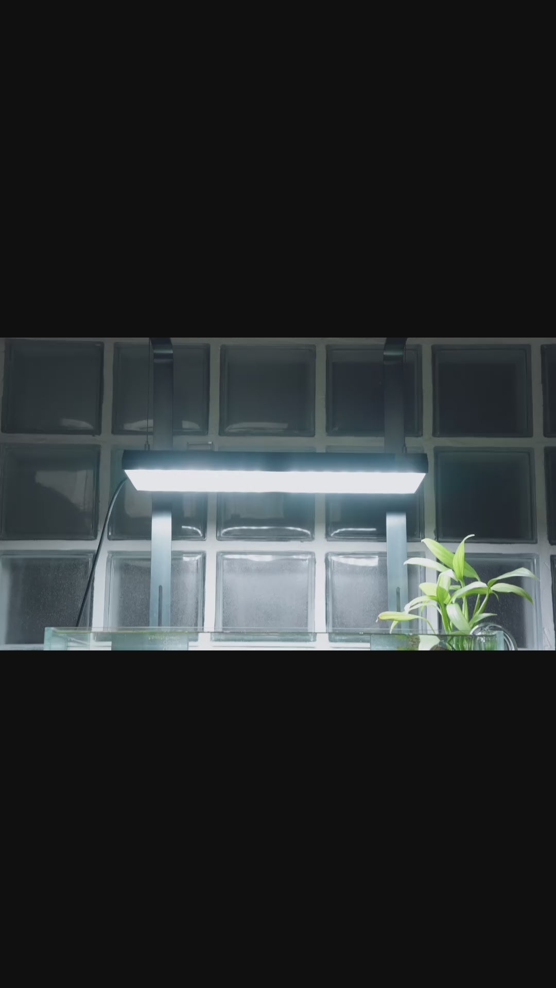 Chihiros Glass Pot Dew - Chihiros Aquatic Studio