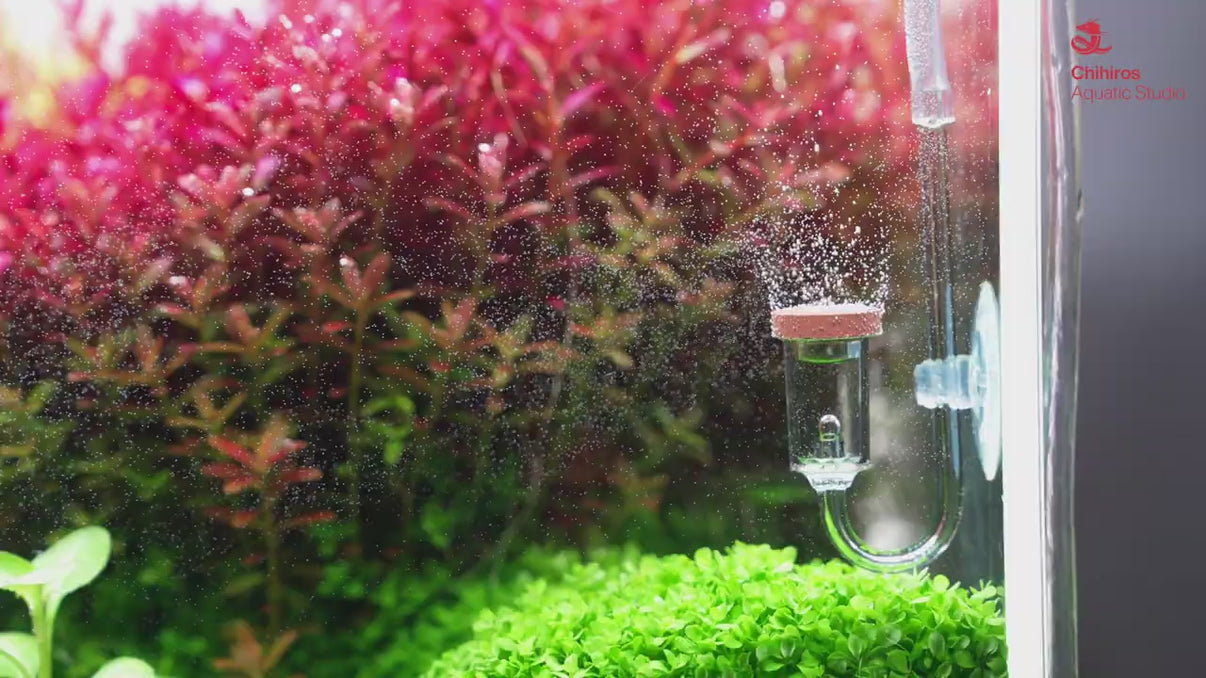 Chihiros Nano CO2 Diffuser - Chihiros Aquatic Studio