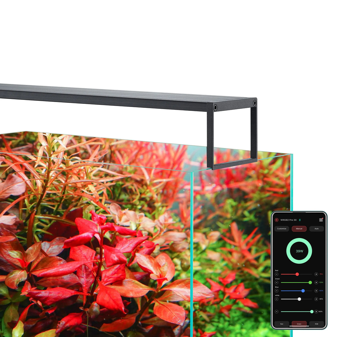 Chihiros WRGBII SLIM EDITION (Built-in Bluetooth) Mobile app Control Sunrise and Sunset Modes Built-in Multiple Modes Customized Modes High Intensity Helps Plants Show Color chihiros